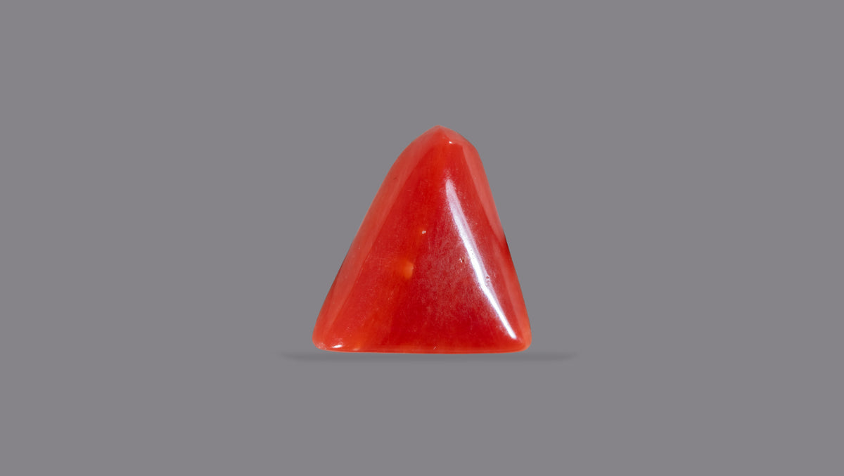 Italian Red Coral 5.75 Carats / 6.32 Ratti