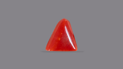 Italian Red Coral 5.75 Carats / 6.32 Ratti