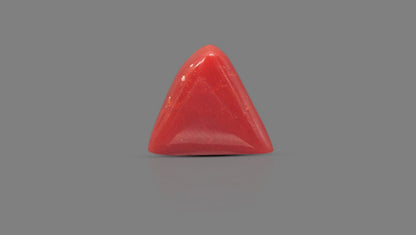 Italian Red Coral 6.07 Carats / 6.67 Ratti
