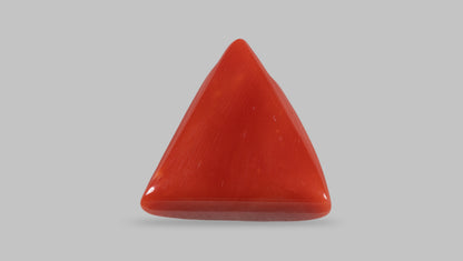 Italian Red Coral 14.05 Carats / 15.44 Ratti