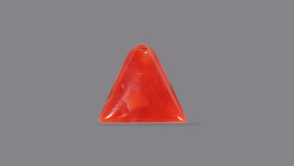 Italian Red Coral 5.74 Carats / 6.31 Ratti