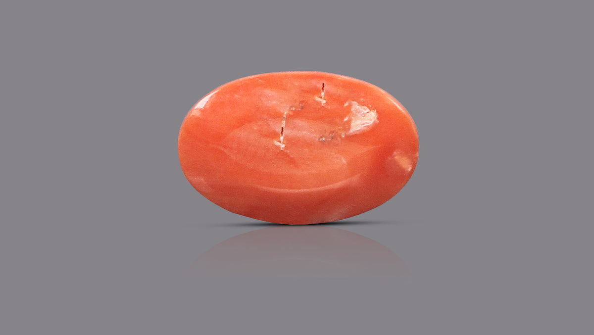Japanese Red Coral 6.08 Carats / 6.68 Ratti