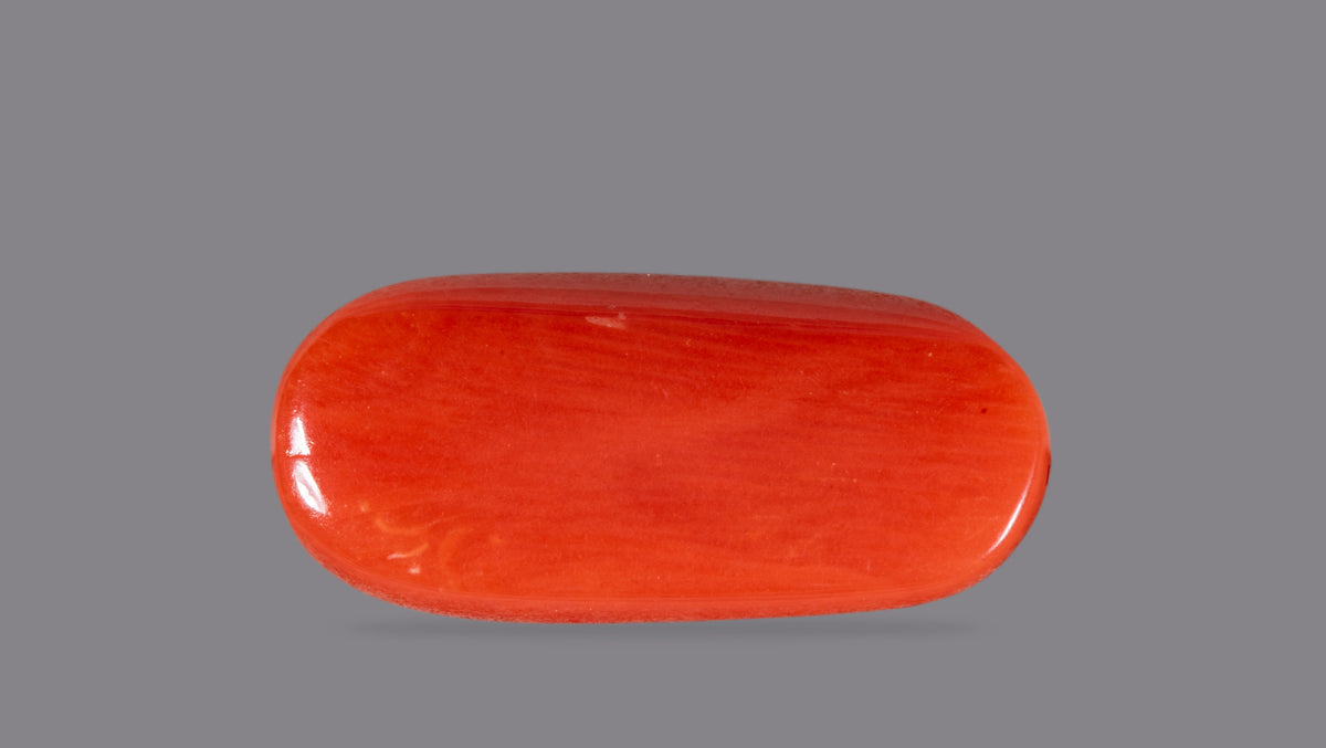 Italian Red Coral 5.91 Carats / 6.49 Ratti