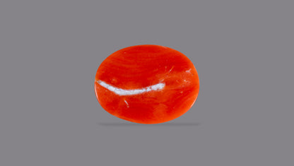Japanese Red Coral 4.43 Carats / 4.87 Ratti