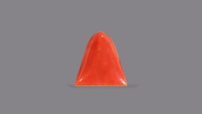 Italian Red Coral 6.06 Carats / 6.66 Ratti