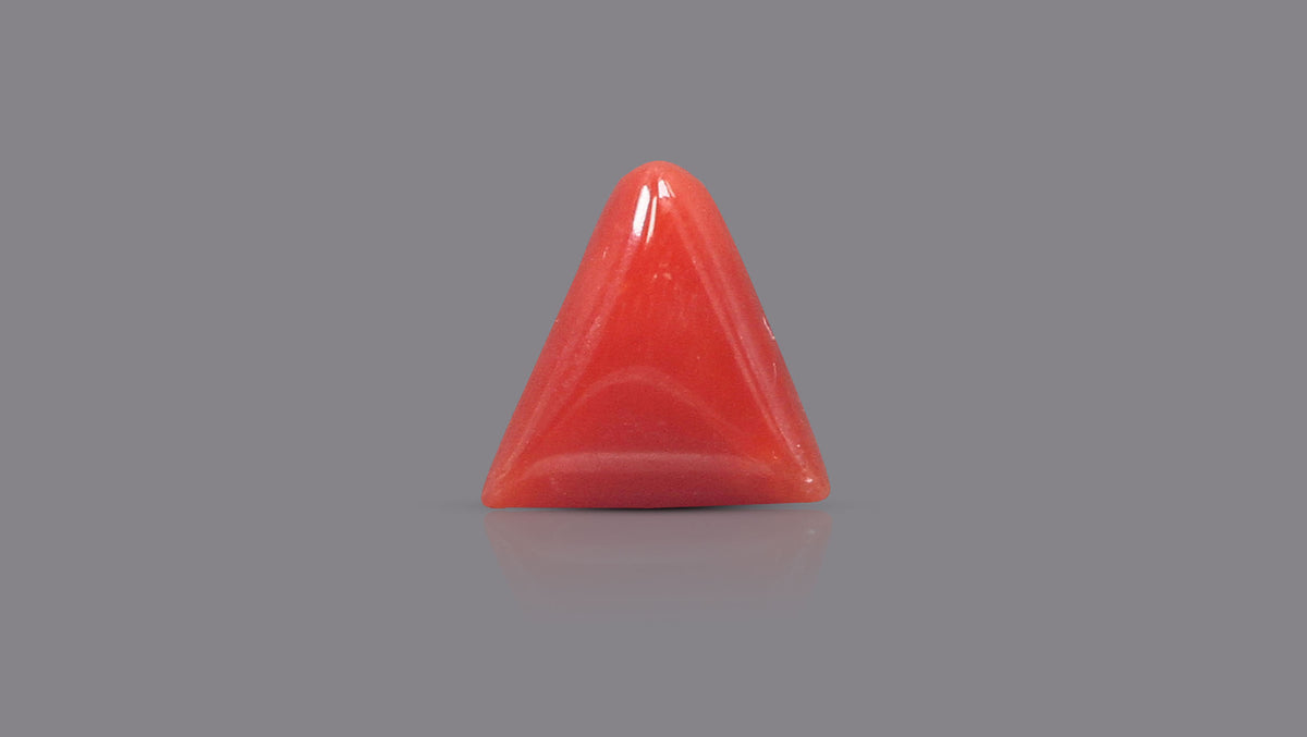 Italian Red Coral 6.31 Carats / 6.93 Ratti