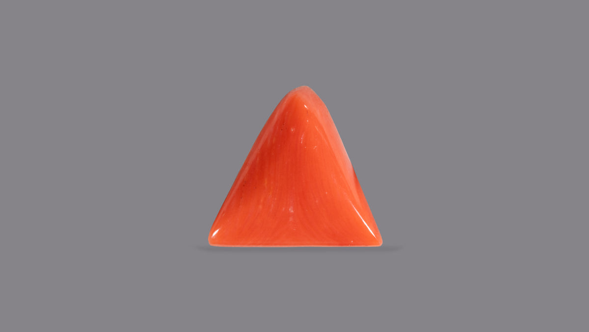 Italian Red Coral 5.94 Carats / 6.53 Ratti