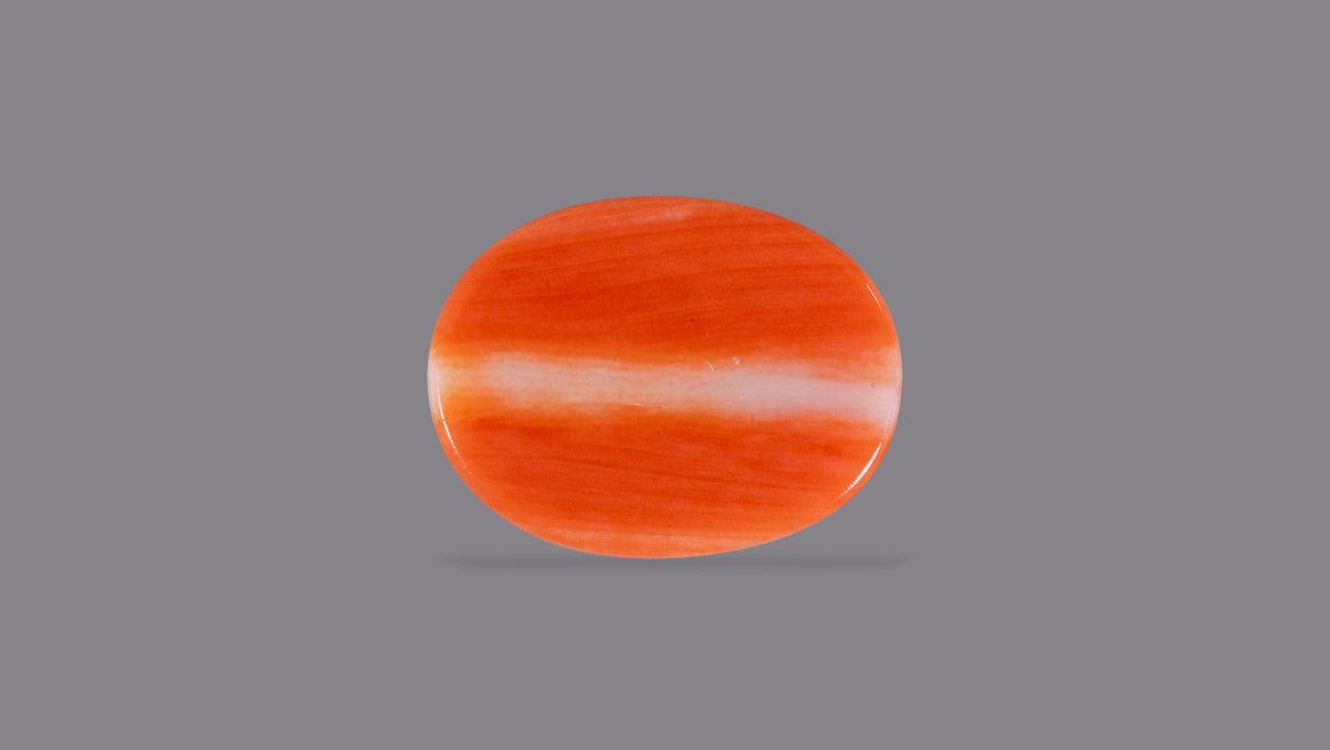 Japanese Red Coral 7.50 Carats / 8.24 Ratti