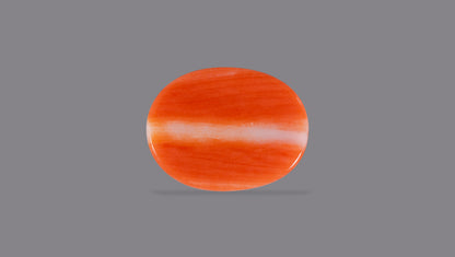 Japanese Red Coral 7.50 Carats / 8.24 Ratti