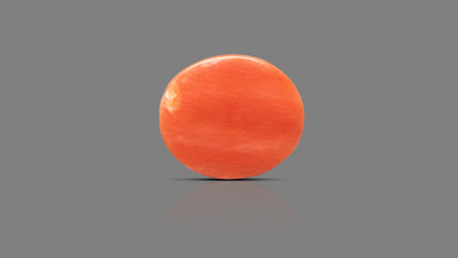 Japanese Red Coral 4.89 Carats / 5.37 Ratti