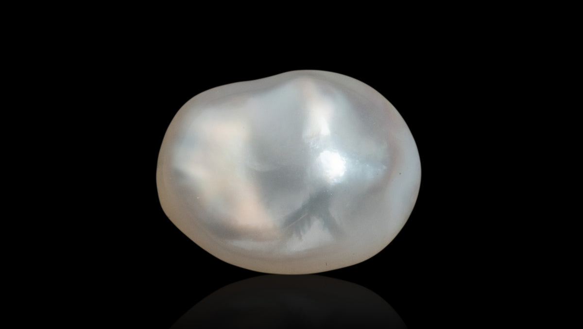 Venezuela Pearl12.30 Carats / 13.52 Ratti
