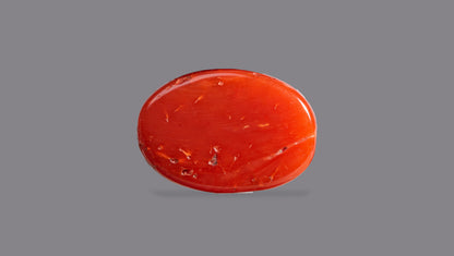 Japanese Red Coral 8.62 Carats / 9.47 Ratti