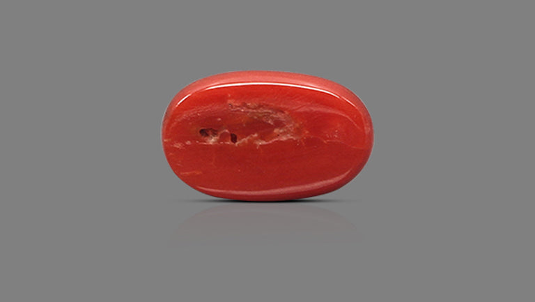 Italian Red Coral 10.46 Carats / 11.49 Ratti