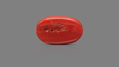 Italian Red Coral 10.46 Carats / 11.49 Ratti
