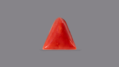 Italian Red Coral 5.04 Carats / 5.54 Ratti