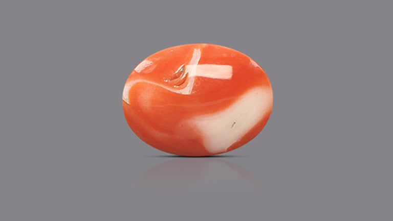 Japanese Red Coral 18.41 Carats / 20.23 Ratti