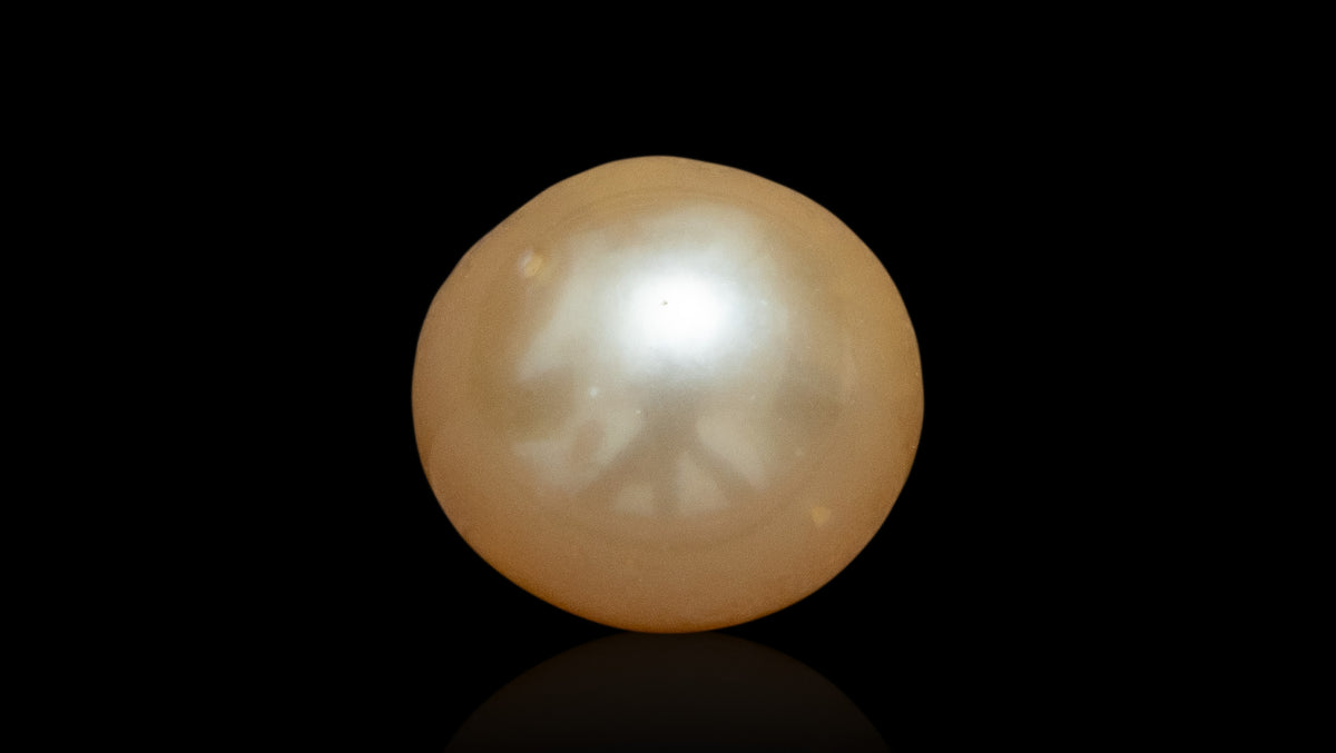 Venezuela Pearl4.01 Carats / 4.41 Ratti