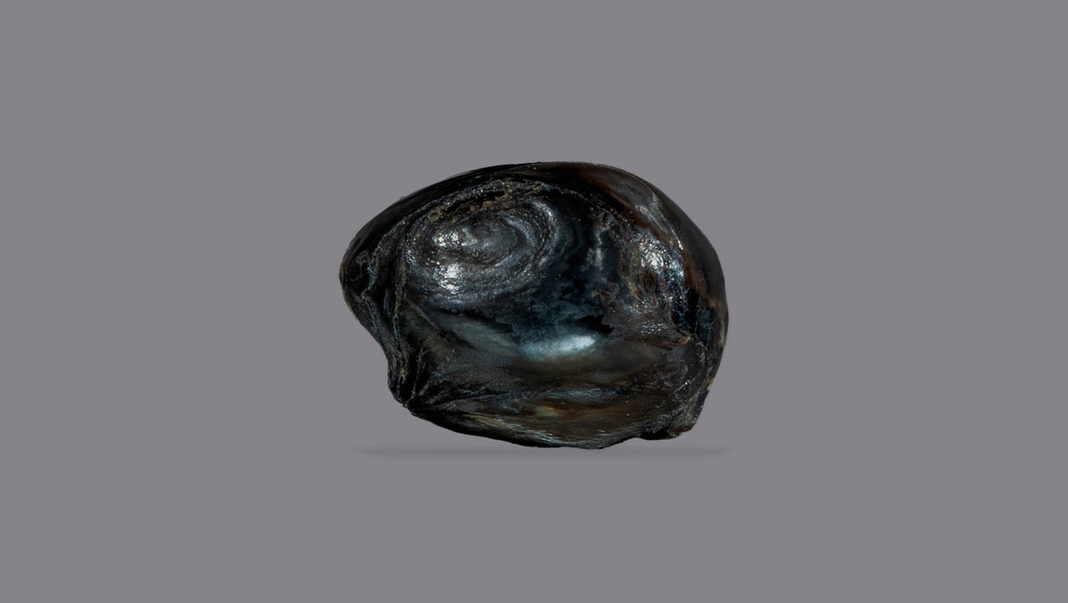 Basra Pearl 3.31 Carats / 3.64 Ratti
