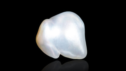 Venezuela Pearl 8.70 Carats / 9.56 Ratti