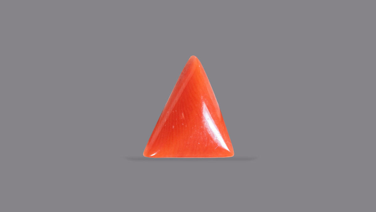 Italian Red Coral 5.04 Carats / 5.54 Ratti