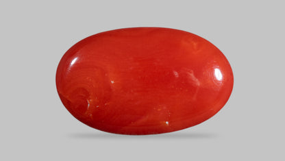 Italian Red Coral 8.37 Carats / 9.2 Ratti