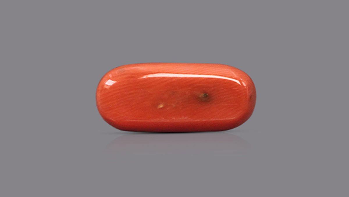 Italian Red Coral 9.16 Carats / 10.07 Ratti