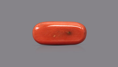 Italian Red Coral 9.16 Carats / 10.07 Ratti