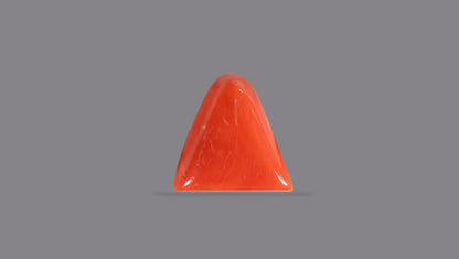 Italian Red Coral 6.08 Carats / 6.68 Ratti