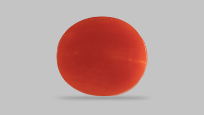Japanese Red Coral 12.81 Carats / 14.08 Ratti