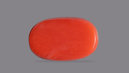 Italian Red Coral 11.54 Carats / 12.68 Ratti