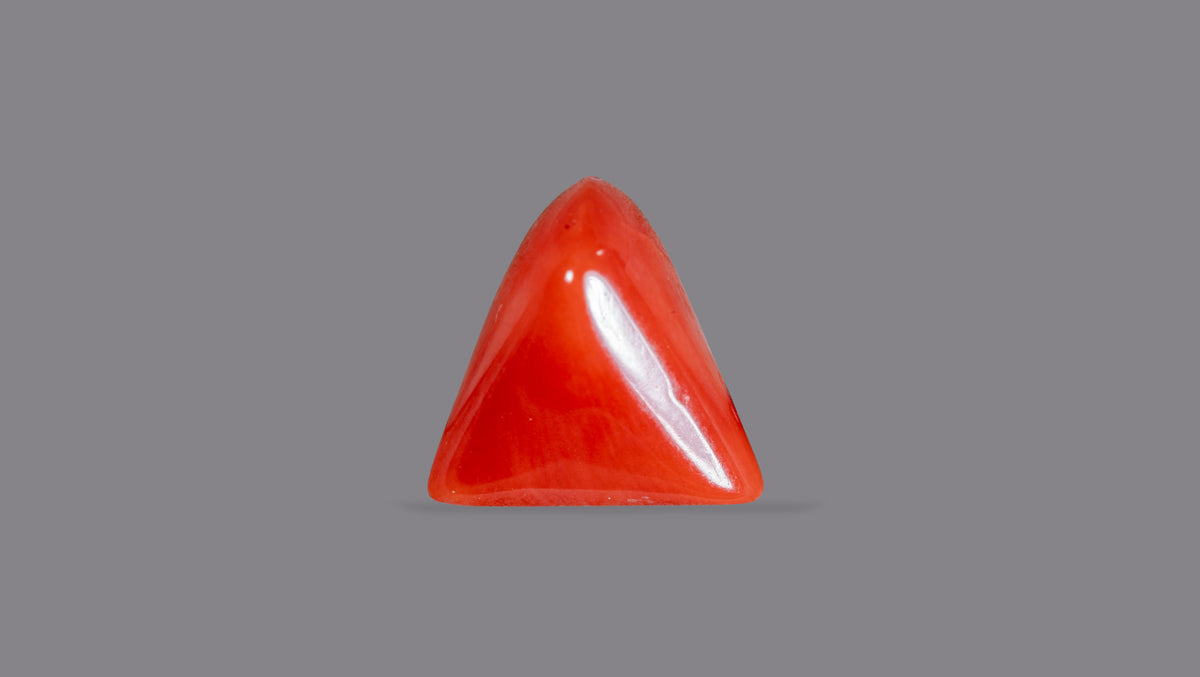 Italian Red Coral 5.23 Carats / 5.75 Ratti
