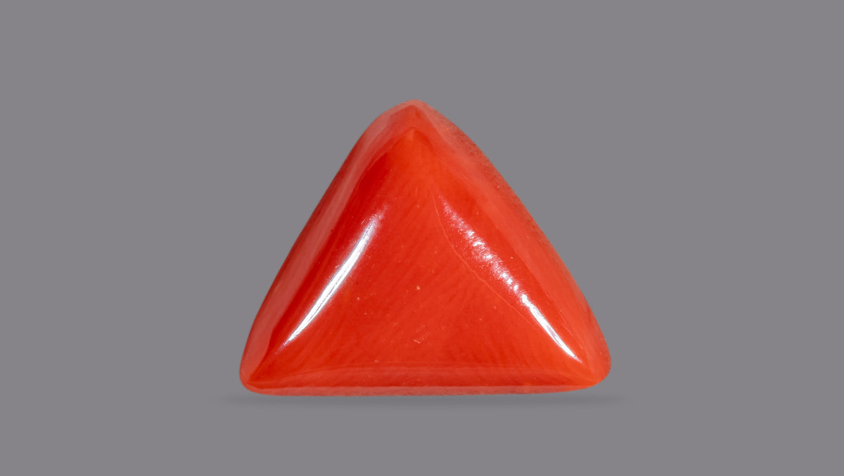 Italian Red Coral 7.05 Carats / 7.75 Ratti