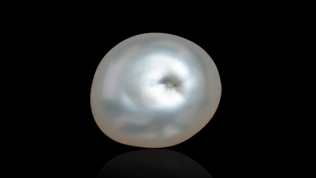 Venezuela Pearl7.00 Carats / 7.69 Ratti