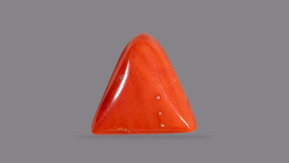 Italian Red Coral 6.75 Carats / 7.42 Ratti