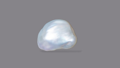 Venezuela Pearl12.30 Carats / 13.52 Ratti