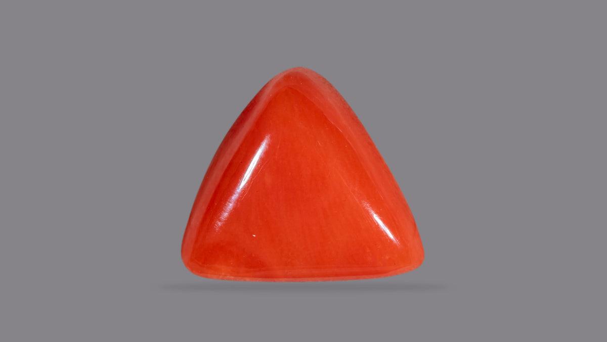 Italian Red Coral 6.22 Carats / 6.84 Ratti
