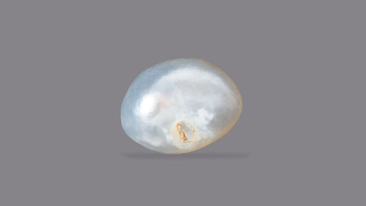 Basra Pearl 6.79 Carats / 7.46 Ratti