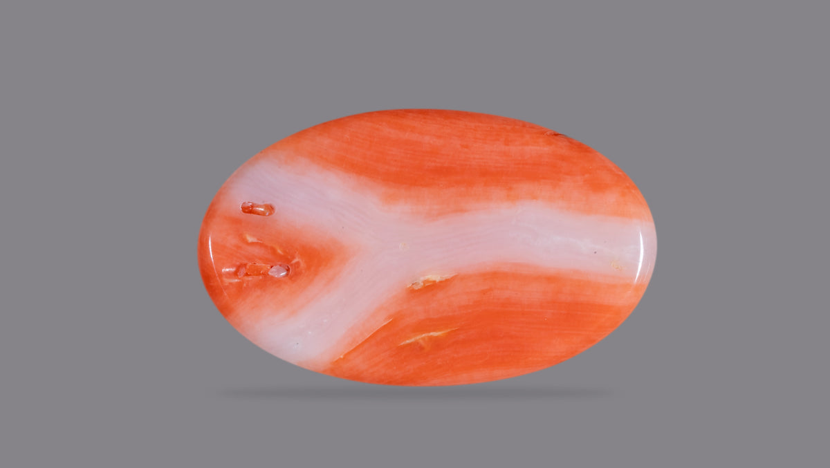 Japanese Red Coral 12.18 Carats / 13.38 Ratti