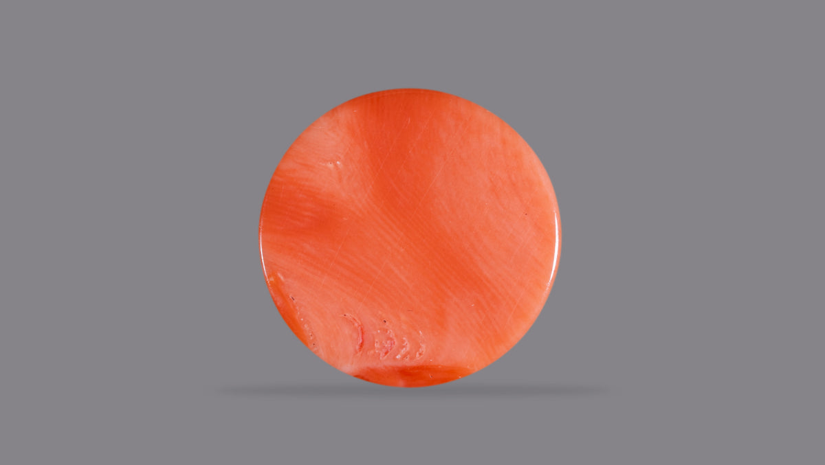 Japanese Red Coral 14.79 Carats / 16.25 Ratti