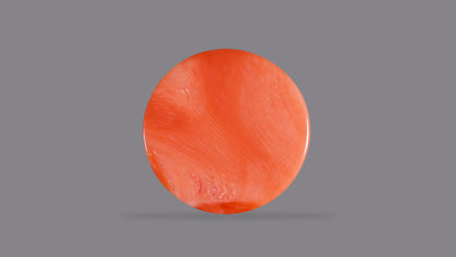 Japanese Red Coral 14.79 Carats / 16.25 Ratti