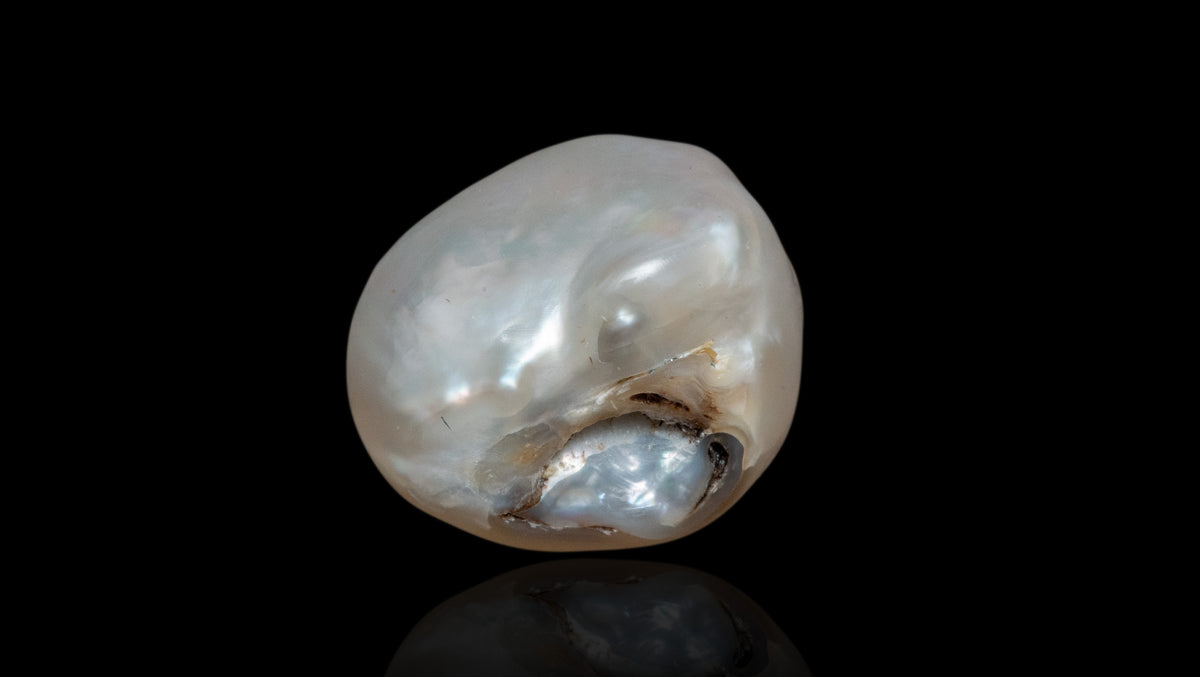 Venezuela Pearl4.78 Carats / 5.25 Ratti