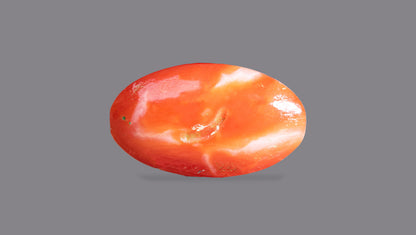 Japanese Red Coral 6.62 Carats / 7.27 Ratti