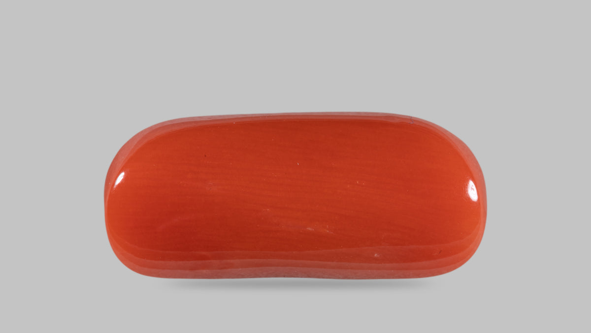 Italian Red Coral 14.19 Carats / 15.59 Ratti