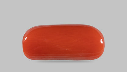 Italian Red Coral 14.19 Carats / 15.59 Ratti