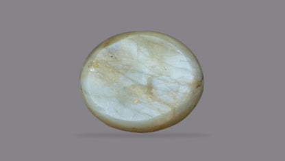 Cat's Eye (Lehsuniya) 8.07 Carats / 8.87 Ratti