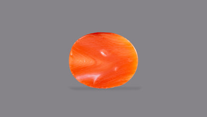 Japanese Red Coral 6.47 Carats / 7.11 Ratti
