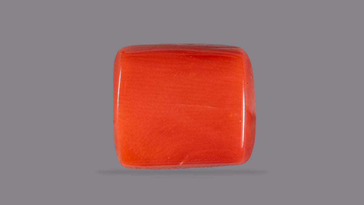 Italian Red Coral 13.95 Carats / 15.33 Ratti