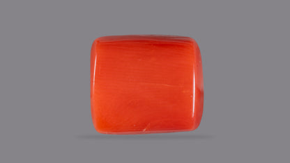 Italian Red Coral 13.95 Carats / 15.33 Ratti