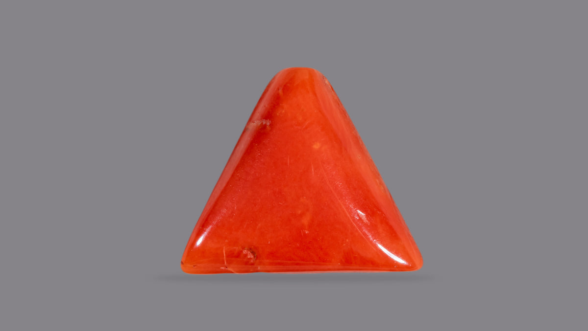 Italian Red Coral (Moonga) 6.92 Carats / 7.6 Ratti