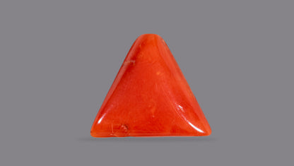Italian Red Coral (Moonga) 6.92 Carats / 7.6 Ratti